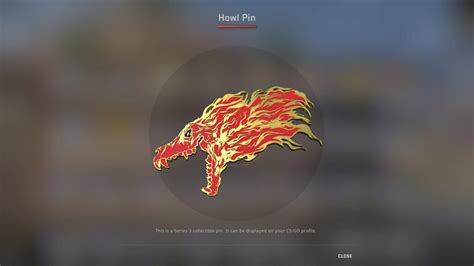 health pin csgo|howl pin csgo.